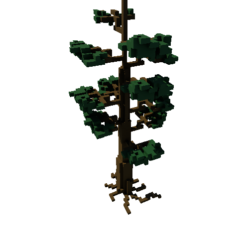 Pine_Tree.1 (1)